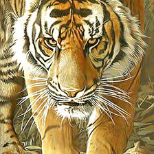 Схема вышивки «Серия "Хищники".»