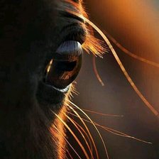 Схема вышивки «Глаз»