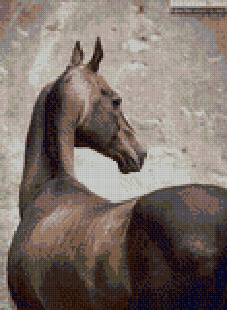 Ахал-тек - лошади, кони, лошадь, ахалтекинец, конь, порода, люблю лошадей - предпросмотр