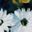 Предпросмотр схемы вышивки «№1902531»