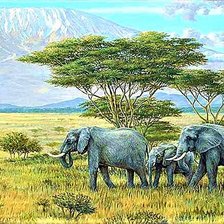 Схема вышивки «№1902695»