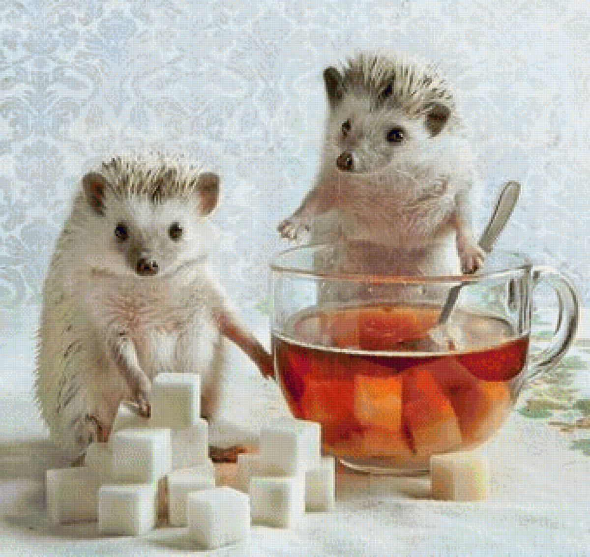 Ежики - предпросмотр