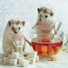 Схема вышивки «Ежики»