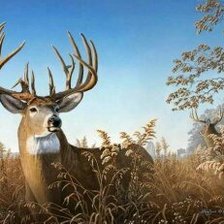 Схема вышивки «Олени»