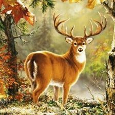 Схема вышивки «Олень»