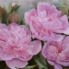 Схема вышивки «Пионы»