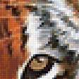 Предпросмотр схемы вышивки «тигры» (№1902889)