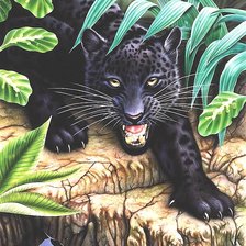 Схема вышивки «пантера»