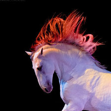 Схема вышивки «Радужная лошадь»