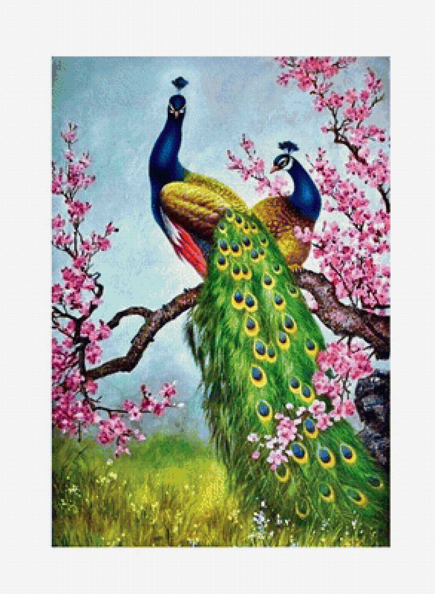Павлины /размер изображения  230 х 340 крестиков/ - ветка сакуры, птицы, павлины - предпросмотр