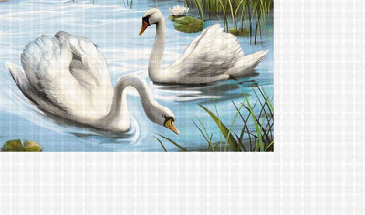 Лебединая пара /размер 300 х 170 крест/ - лебеди, озеро - предпросмотр