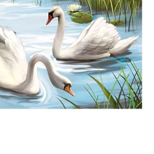 Схема вышивки «Лебединая пара /размер 300 х 170 крест/»