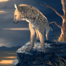 Схема вышивки «Волк»