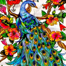 Схема вышивки «павлин»