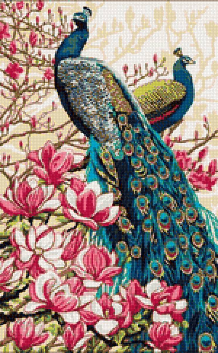 павлин2 - павлин, птицы - предпросмотр