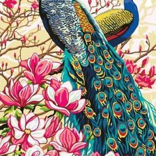 Схема вышивки «павлин2»