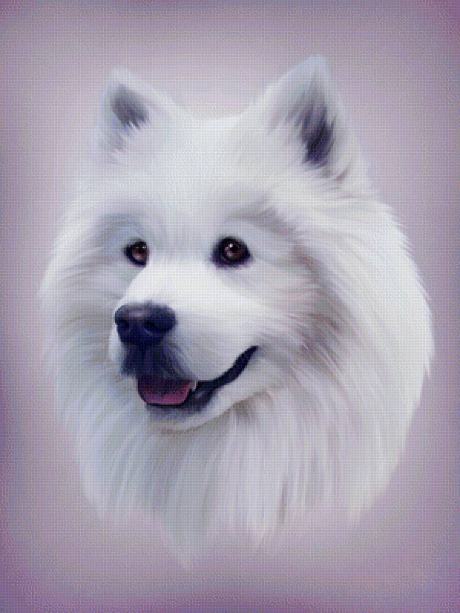 Белый пёс - собака, рисунок, животные, пес - предпросмотр