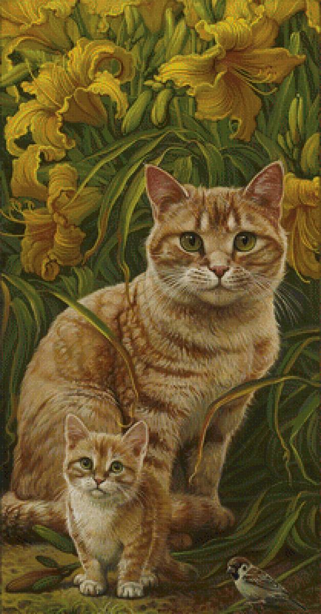 mačky - предпросмотр