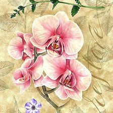 Схема вышивки «цветы»