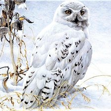 Схема вышивки «№1903515»