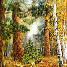 Схема вышивки «Под дождем»