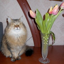 Схема вышивки «Поздравления от Кузи»