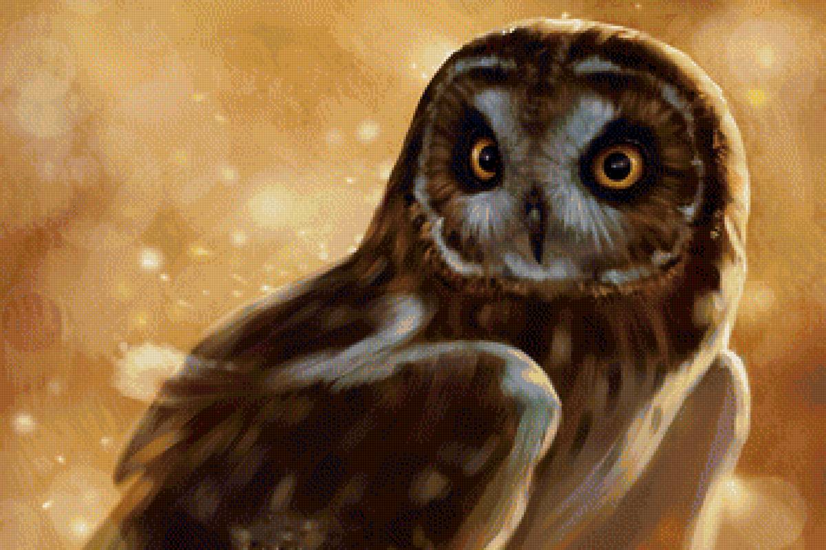 Сова - птица, сова, рисунок - предпросмотр