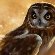 Схема вышивки «Сова»