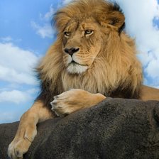 Схема вышивки «Лев»