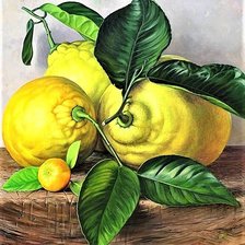 Схема вышивки «№1903951»