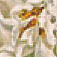 Предпросмотр схемы вышивки «№1903954»