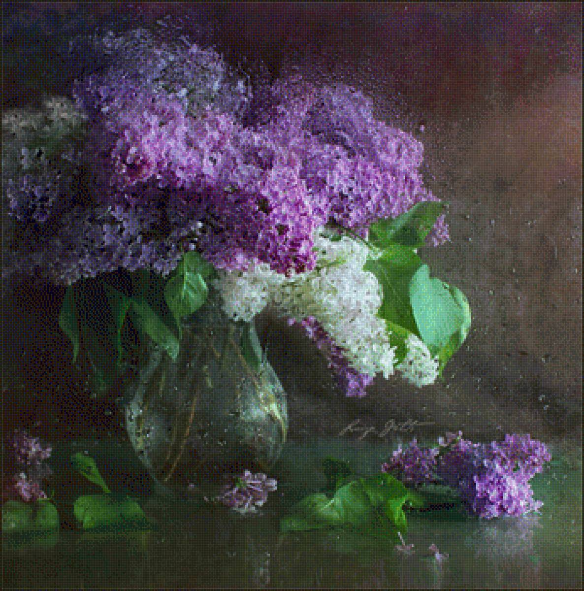 Сирень под дожлем - сирень, букет, натюрморт, цветы - предпросмотр