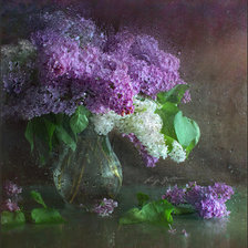 Схема вышивки «Сирень под дожлем»