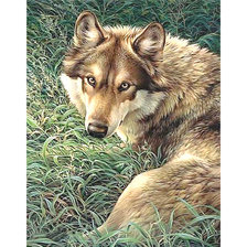 Схема вышивки «Серия "Хищники". Волк»