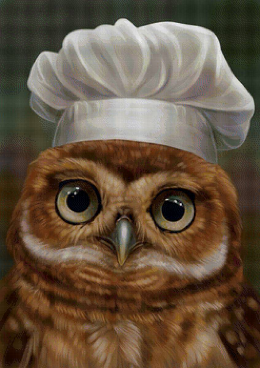 Совёнок - птица, сова, совенок, рисунок - предпросмотр