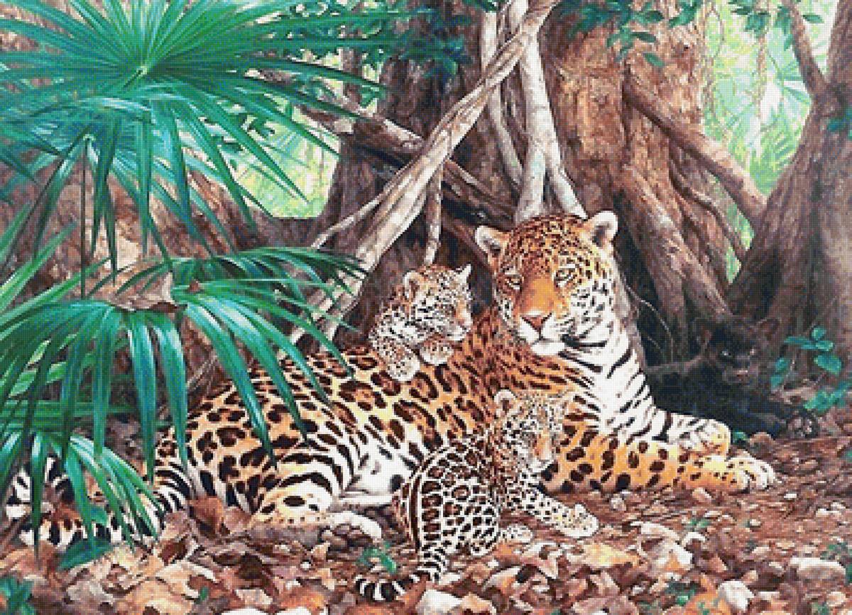 мир животных - мир животных - предпросмотр