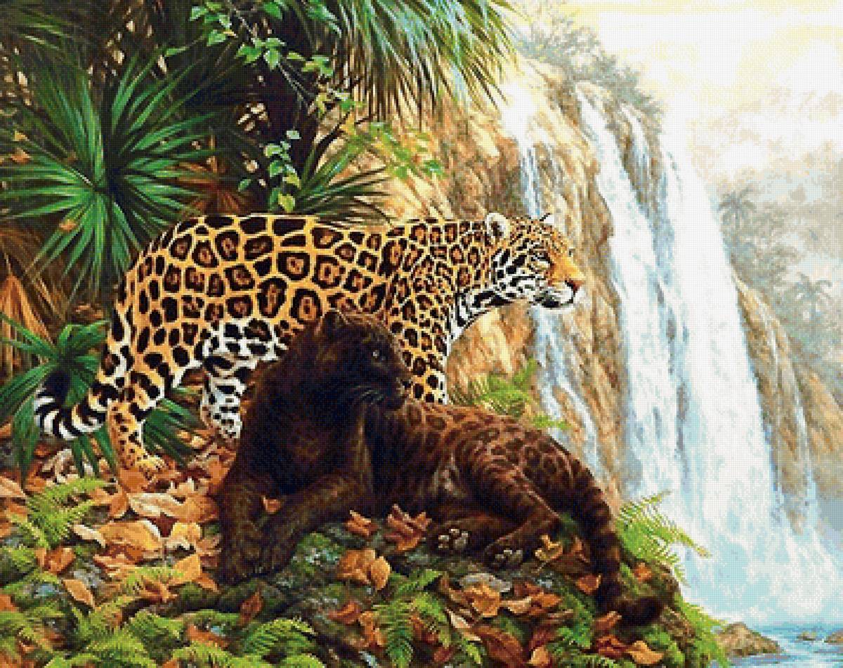 мир животных - мир животных - предпросмотр