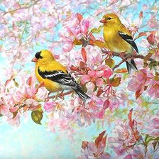 Схема вышивки «птицы»