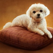 Схема вышивки «Щенок»