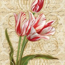 Схема вышивки «Тюльпаны»