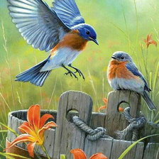 Схема вышивки «Птички»