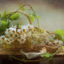 Схема вышивки «Ромашки»