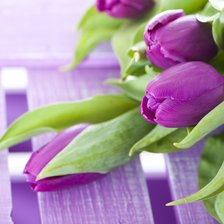 Схема вышивки «Тюльпаны»