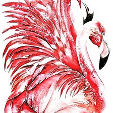 Схема вышивки «№1905161»