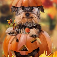 Схема вышивки «Тыковка»