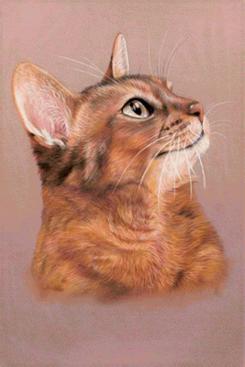 Котик - животные, кот, рисунок, котик - предпросмотр