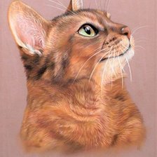 Схема вышивки «Котик»