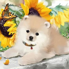 Схема вышивки «Щенок и подсолнухи»