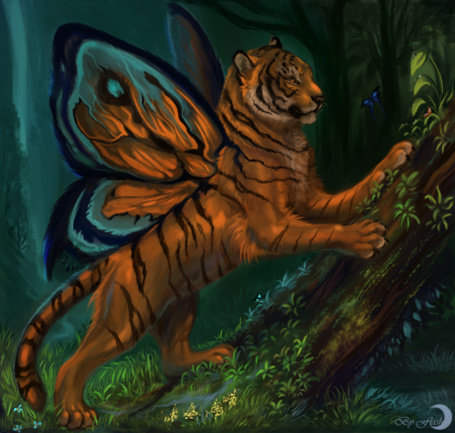 крылатый тигр - дикие животные, тигр-бабочка, мир животных - оригинал