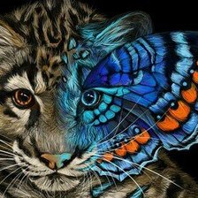 Схема вышивки «тигренок-бабочка»